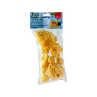 ami-aquarelspons-set-a-6
